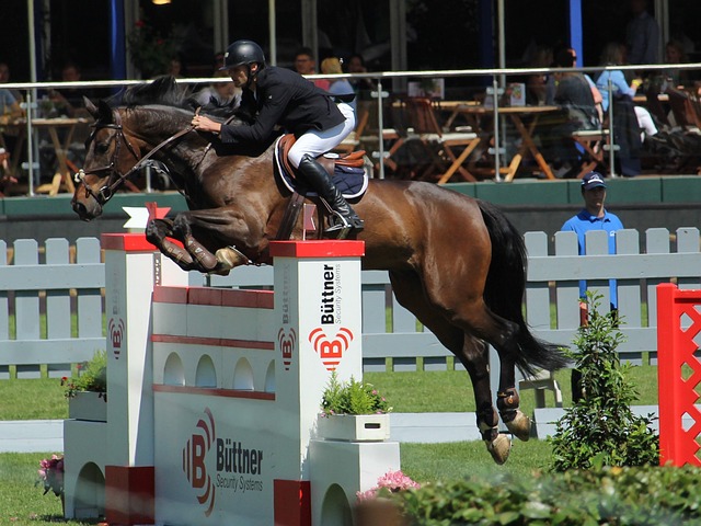 未来充满期 未来充满期