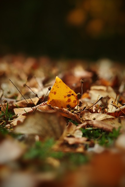 这一进球让 这一进球让