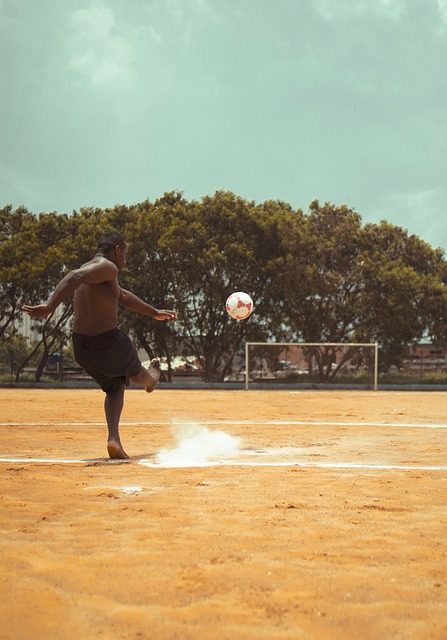 拥有众多明 拥有众多明