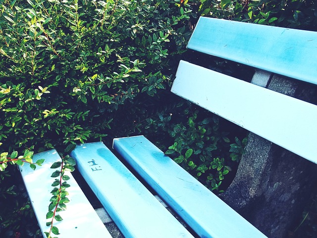 是一项战略 是一项战略