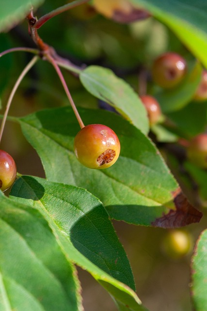 杜兰特等人 杜兰特等人