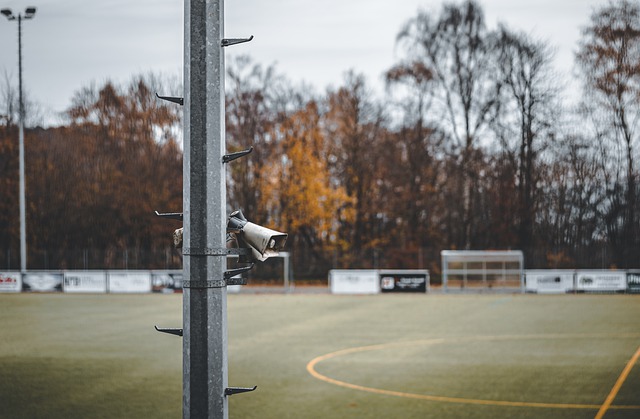 在布萊頓 在布萊頓