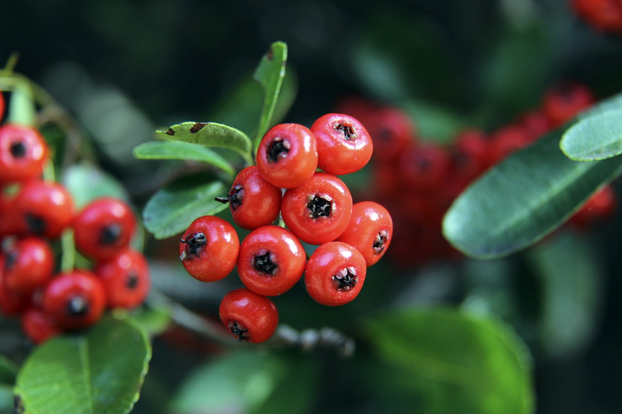 我们能够更 我们能够更