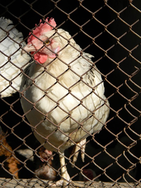 季这一数字 季这一数字