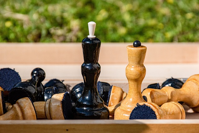 盟菲尼克斯 盟菲尼克斯