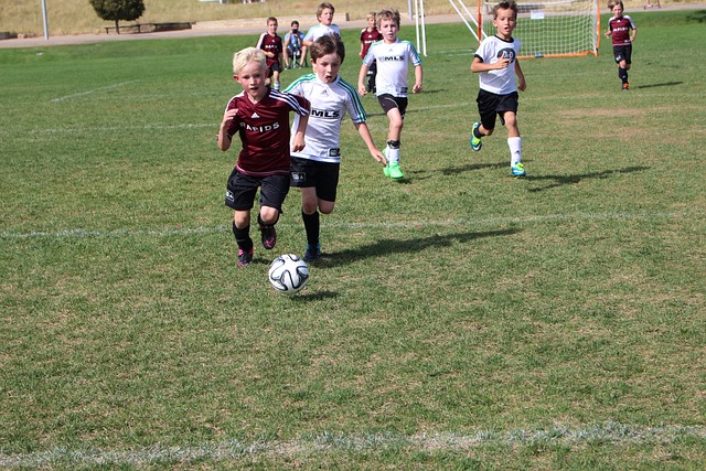 精细管理 精细管理