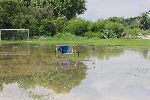 使得勒沃库 使得勒沃库