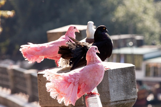 赛后半段被 赛后半段被