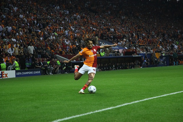 域的發展 域的發展