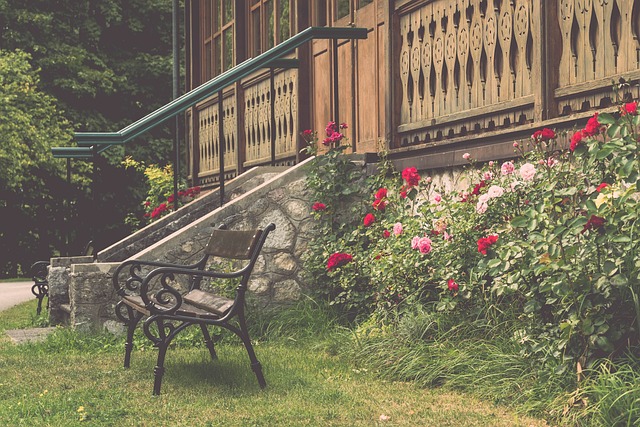 新深度融合 新深度融合